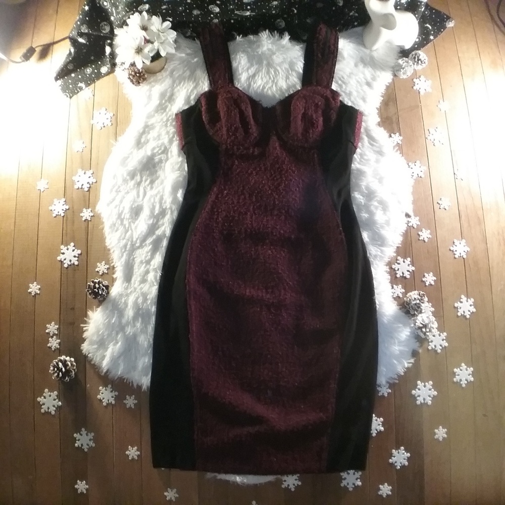 Beautiful Bodice Bodycon Dress